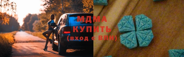 индика Саяногорск